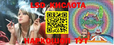 альфа пвп Аргун