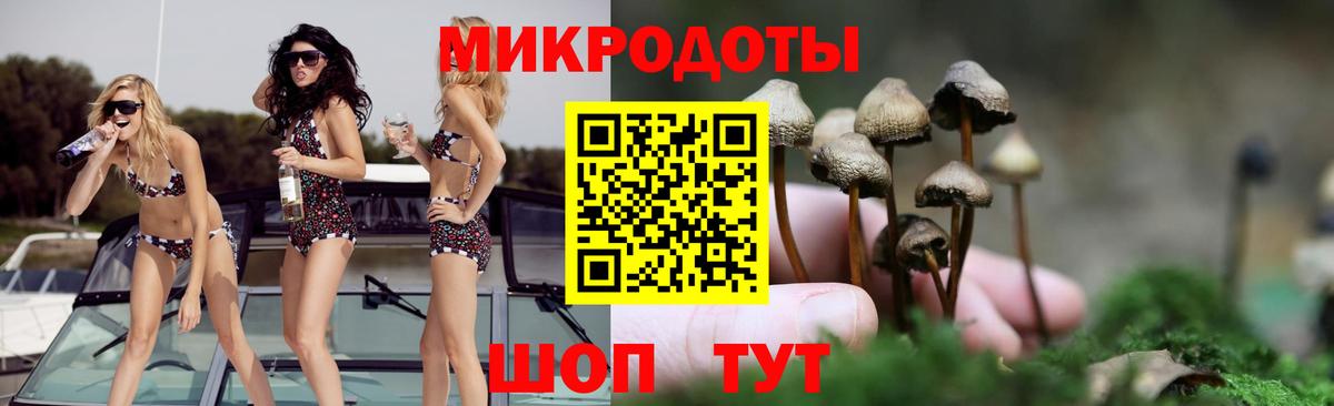 Баксан  Галлюциногенные грибы мицелий  Вход с VPN  Псилоцибиновые грибы мухоморы 
